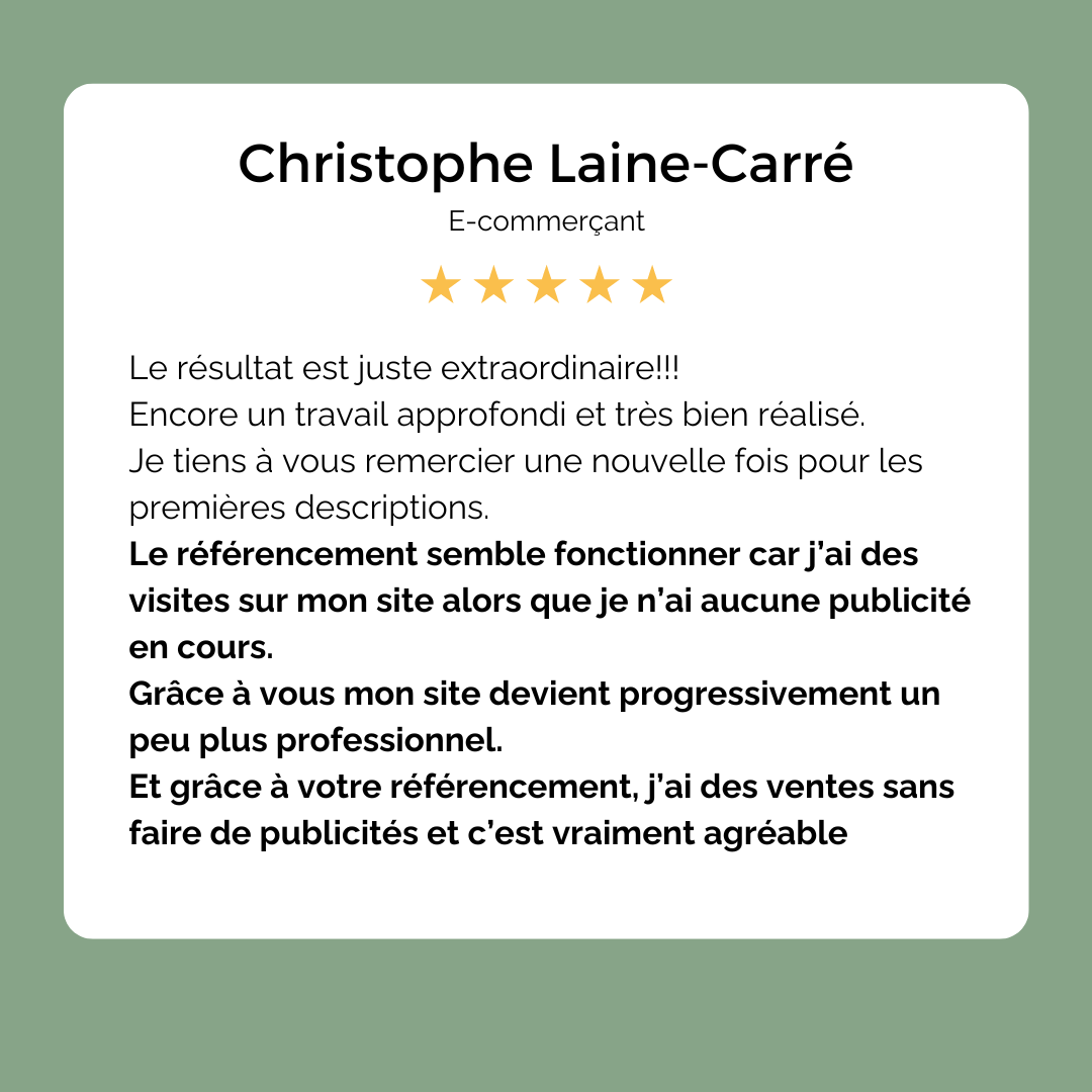 avis Cyrillik (10) optimisation SEO d'un site e-commerce